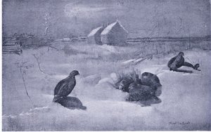 Pernici nella neve